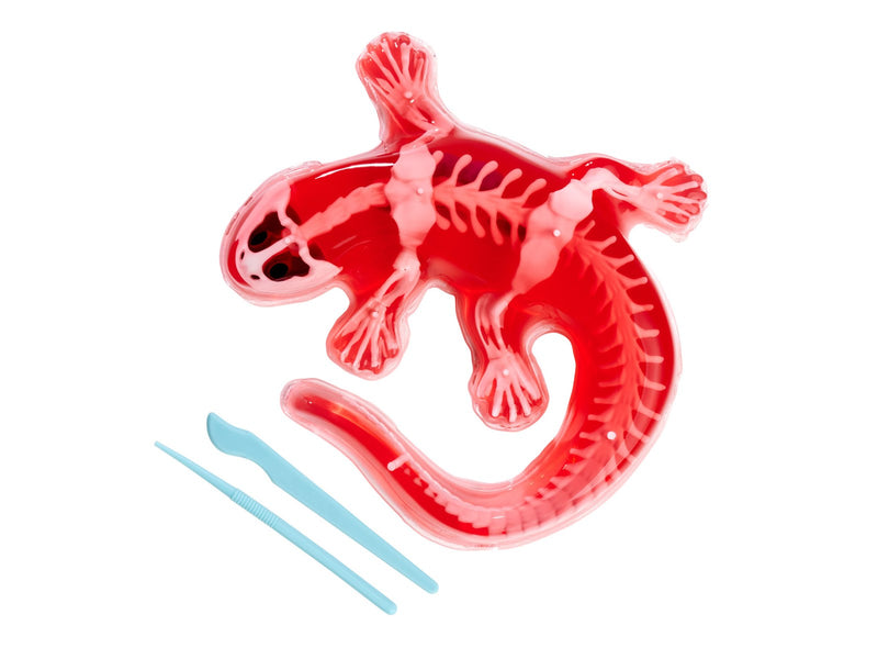 Simba Scout Dissect-It Salamander