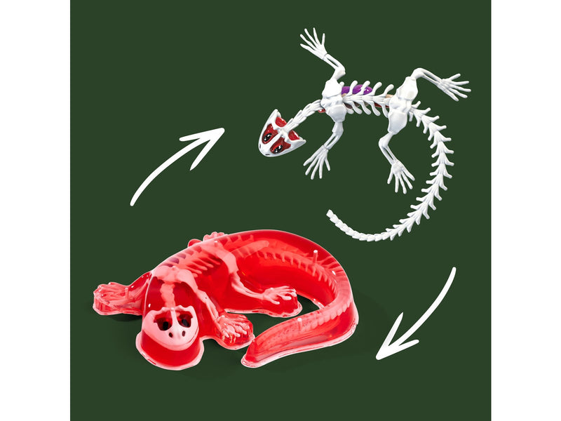 Simba Scout Dissect-It Salamander