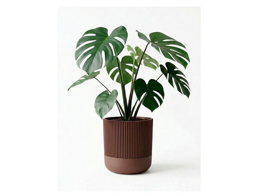 Simiu GROWLOFT - Flower Pot Shelter With Drip Tray - Mocha - 8.2cm high