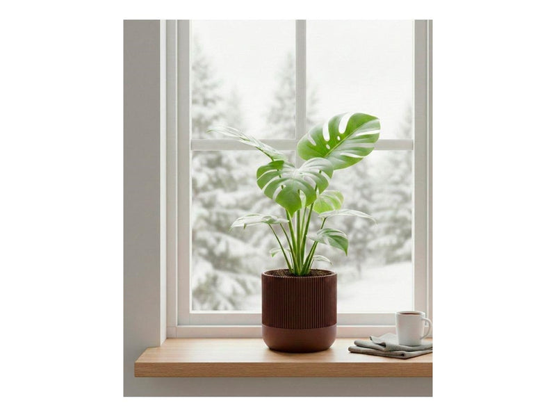 Simiu GROWLOFT - Flower Pot Shelter With Drip Tray - Mocha - 8.2cm high