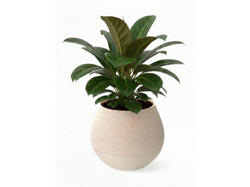 Simiu KAPKA - Flower Pot Shelter With Self-Watering System - Ivory - Ø:11.5