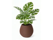 Simiu KAPKA - Flower Pot Shelter With Self-Watering System - Mocha - Ø:11.5