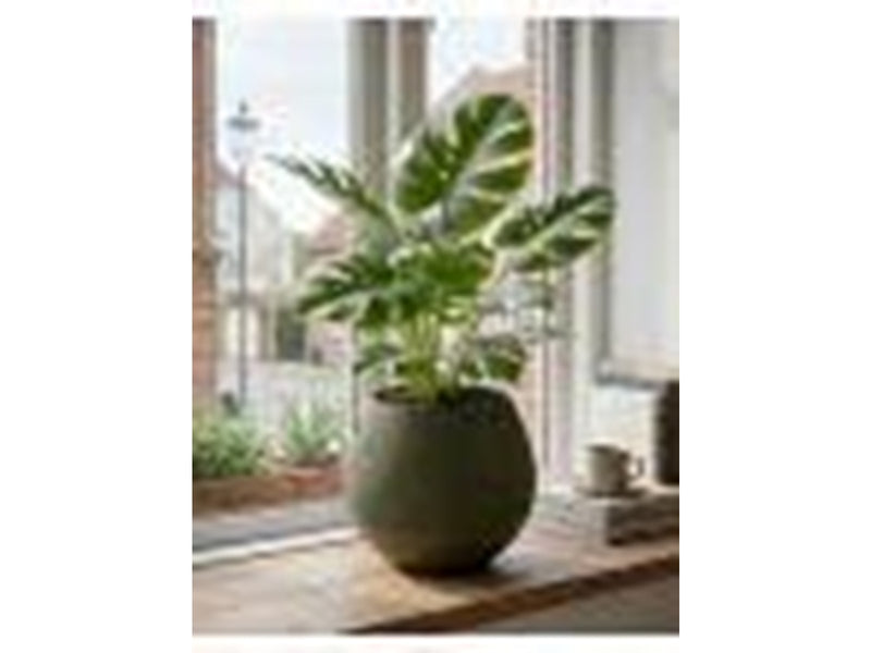 Simiu KAPKA - Flower Pot Shelter With Self-Watering System - Olive - Ø:11.5