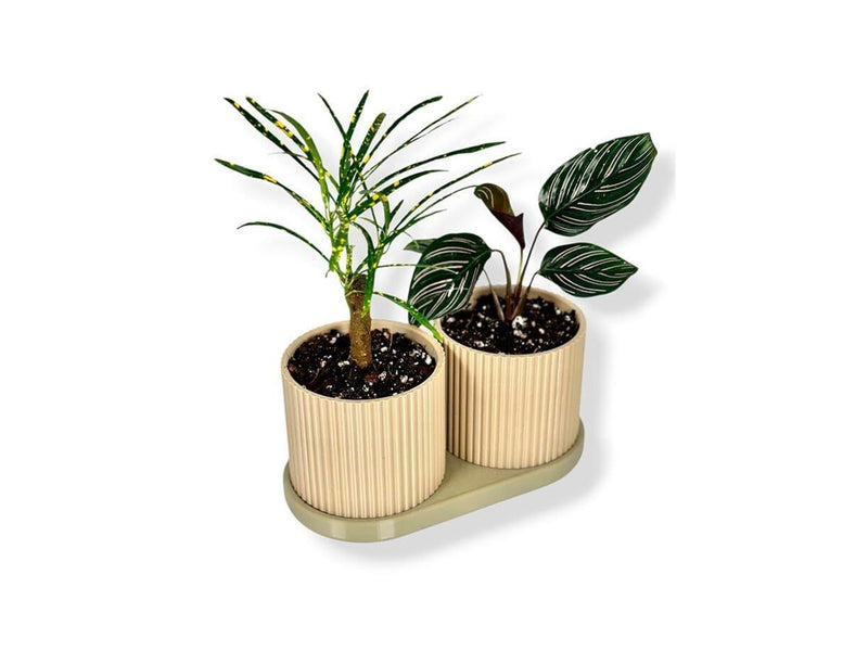 Simiu TWINDA - Double Planter in beige and light olive - 8.5cm