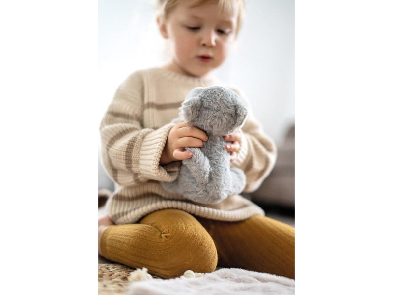 Small Foot Cat with Carry Bag and Care Set