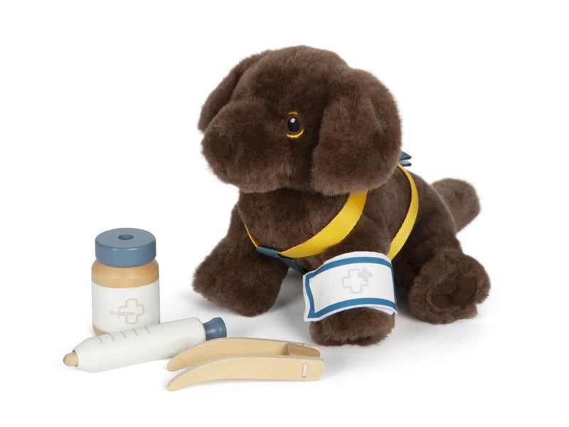 Small Foot Dog with Carry Bag and Care Set