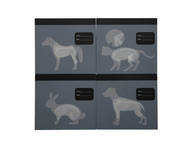 Small Foot - Vet Bag with Plush Rabbit