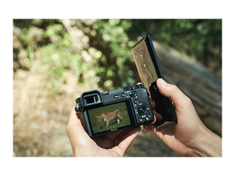 Sony α6600 ILCE-6600