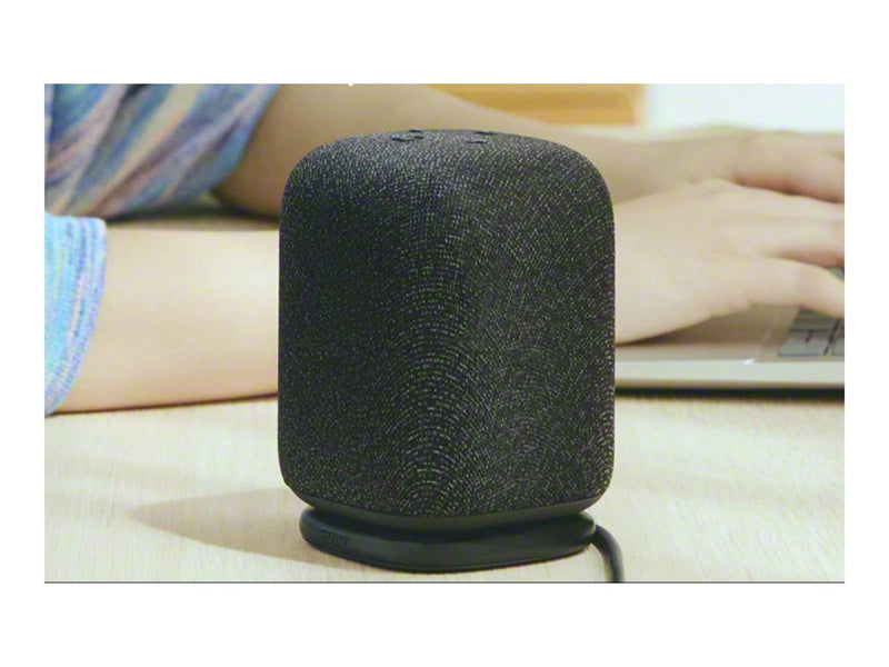 Sony LinkBuds SRS-LS1