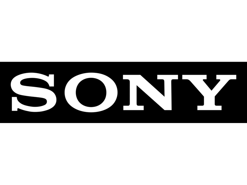 Sony Remote Commander WL (RMT-845)