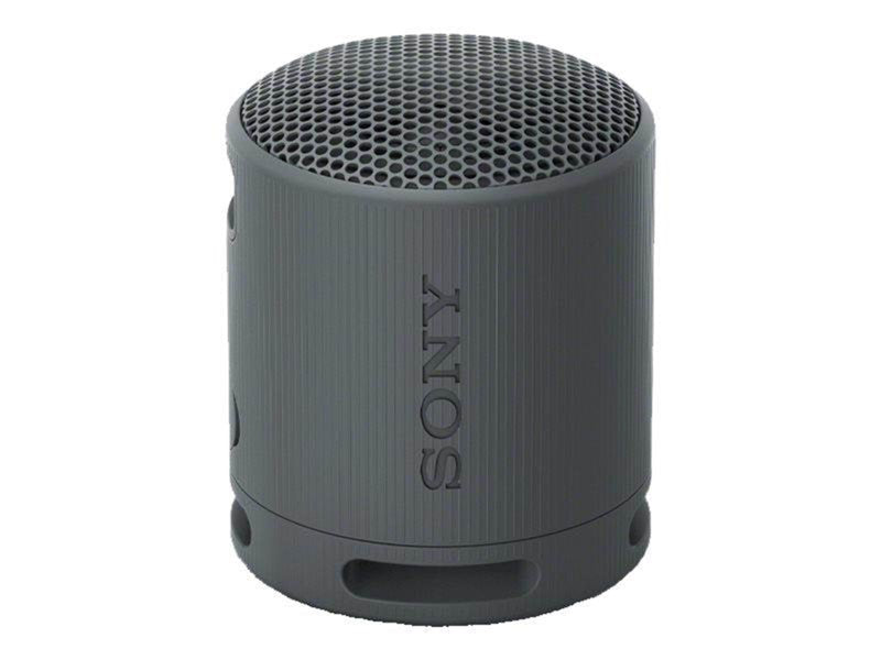 Sony SRS-XB100 - Portable speaker - Black