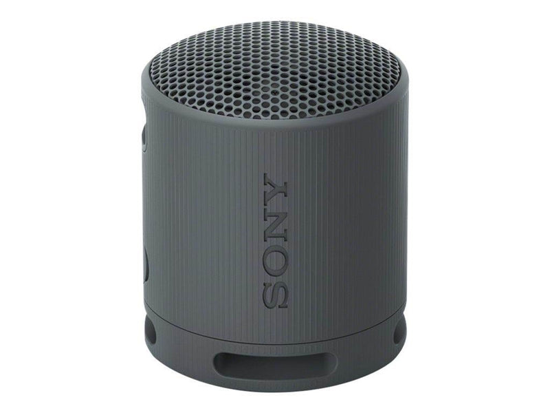 Sony SRS-XB100 - Portable speaker - Black