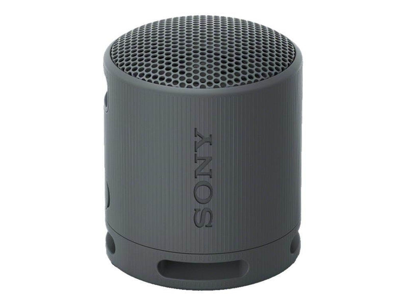 Sony SRS-XB100 - Portable speaker - Black