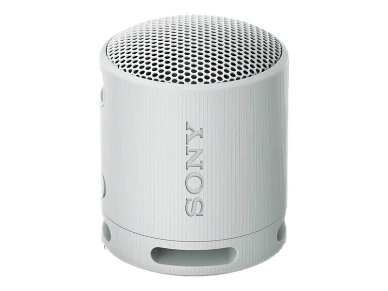 Sony SRS-XB100 - portable speaker - Grey