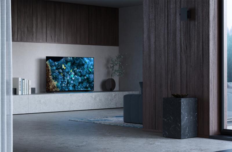 Sony Bravia FWD-65A80L Professional Display 164cm (65')