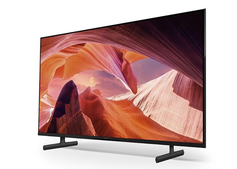 Sony Bravia FWD-65X80L Professional Display 164cm (65')