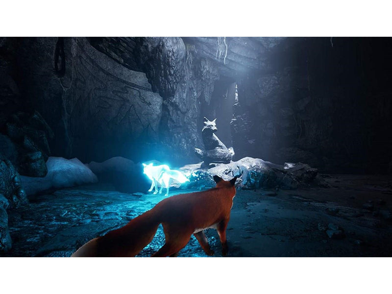Spirit of the North - Sony PlayStation 4 - Abenteuer - PEGI 7