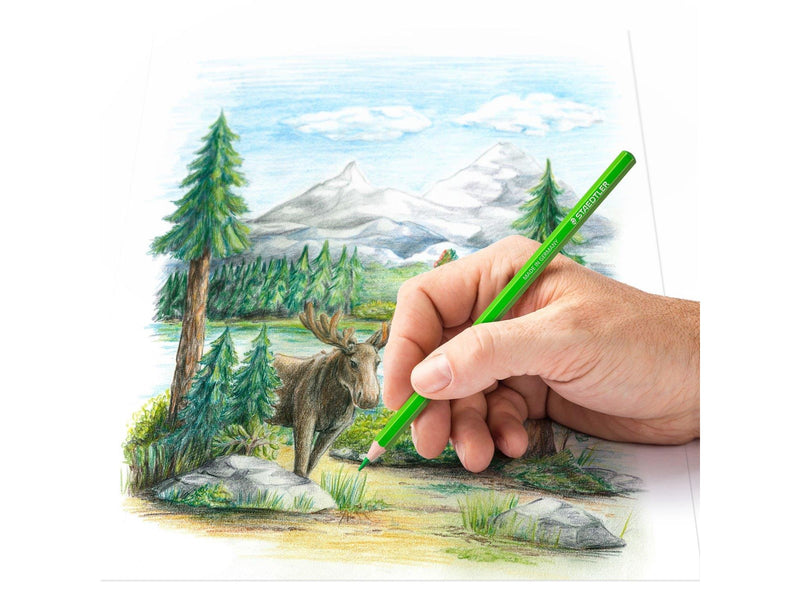Staedtler Coloured pencil 48pcs     100% PEFC