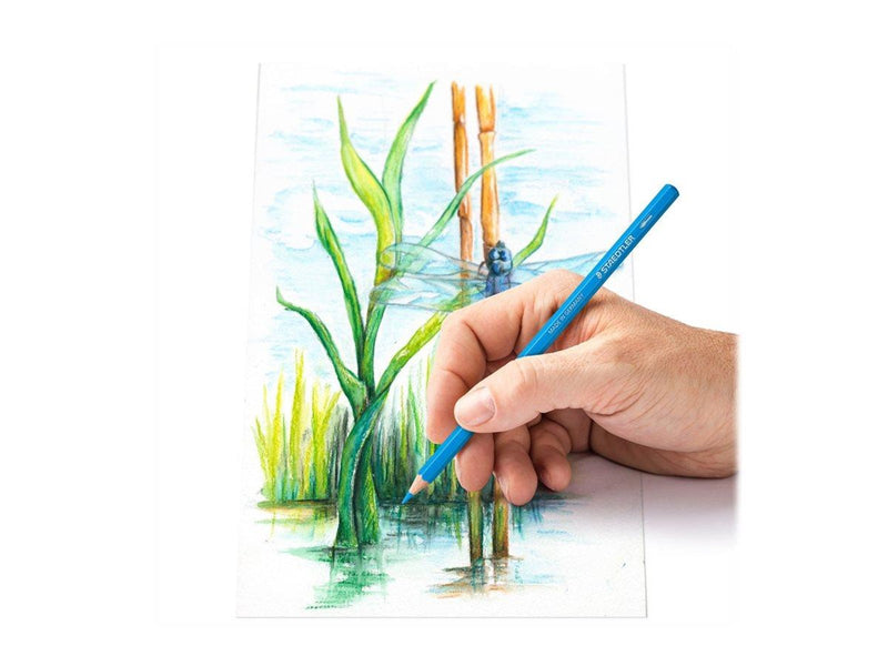 Staedtler Coloured pencil aqu 12pcs 100% PEFC