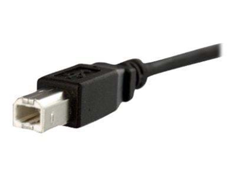 StarTech.com 1 ft Panel Befestigungskit USB Kabel B zu B - F/M - USB-kabel