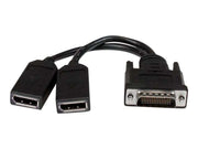 StarTech.com LFH 59 Male zu Dual Female DisplayPort DMS 59 Kabel
