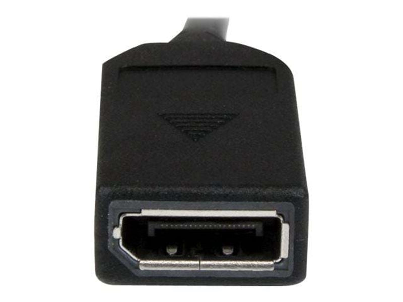 StarTech.com LFH 59 Male zu Dual Female DisplayPort DMS 59 Kabel