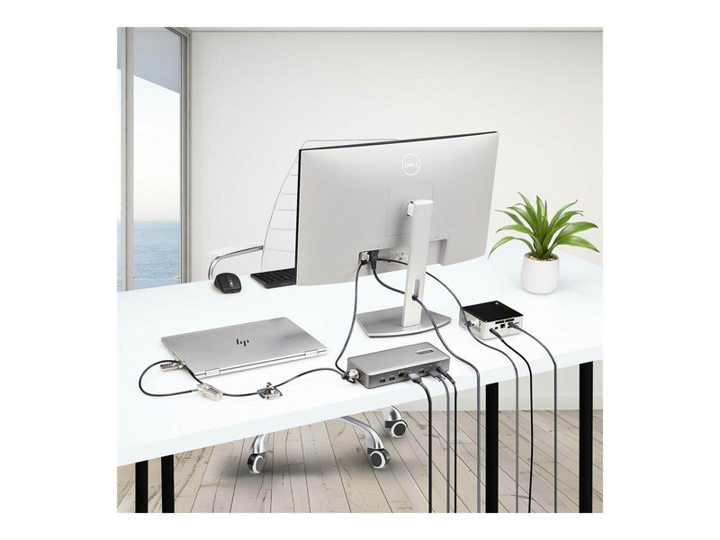 StarTech.com Laptop/Desktop & Peripheral Lock Kit 9.8ft (3m) Cable - workstation locking kit - theft-deterring - TAA Compliant