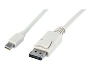 StarTech.com Mini DisplayPort zu DisplayPort Adapter Kabel - Video-/Audiokabel