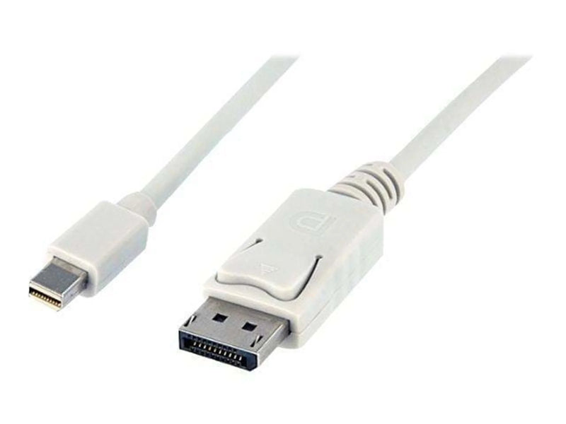 StarTech.com Mini DisplayPort zu DisplayPort Adapter Kabel - Video-/Audiokabel