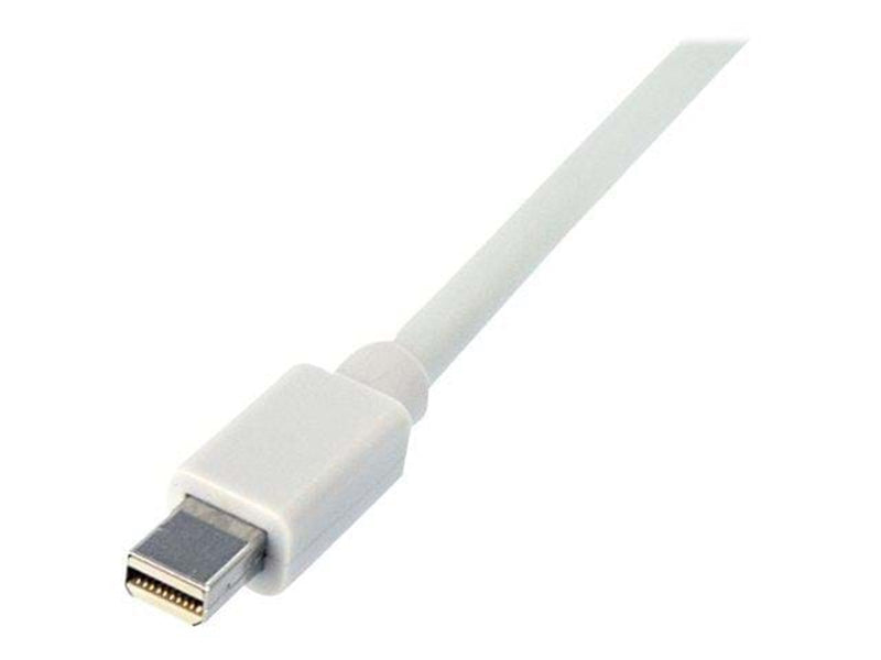 StarTech.com Mini DisplayPort zu DisplayPort Adapter Kabel - Video-/Audiokabel