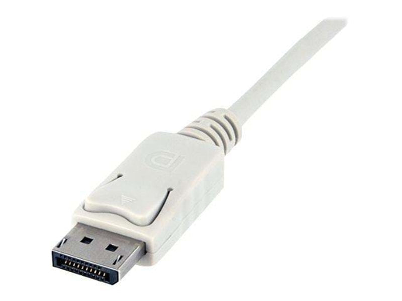 StarTech.com Mini DisplayPort zu DisplayPort Adapter Kabel - Video-/Audiokabel
