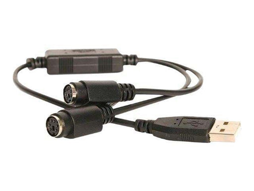 StarTech.com USB zu 2 xPS/2 Adapter