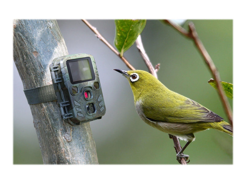 TECHNAXX Mini Nature Wild Cam TX-117 - camera trap