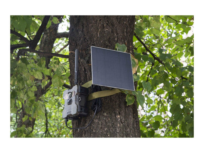 TECHNAXX TX-189 - camera trap