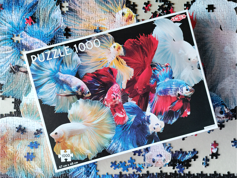 Tactic 1000 pcs puzzle: Fighting Fish