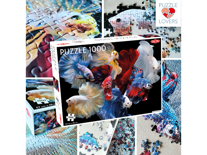 Tactic 1000 pcs puzzle: Fighting Fish