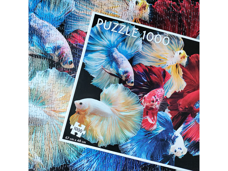 Tactic 1000 pcs puzzle: Fighting Fish
