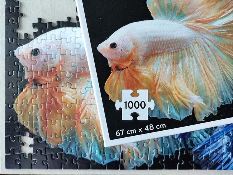 Tactic 1000 pcs puzzle: Fighting Fish