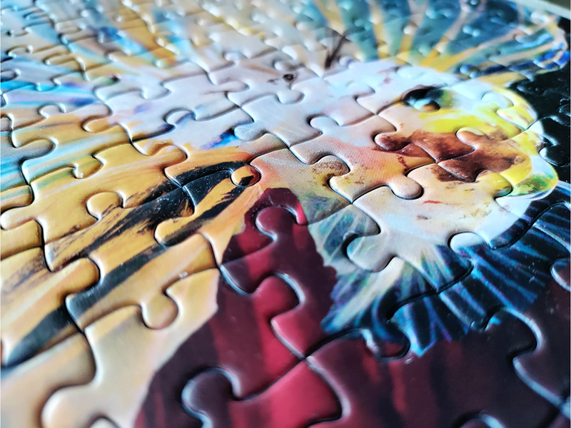 Tactic 1000 pcs puzzle: Fighting Fish