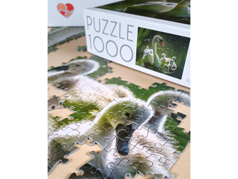 Tactic 1000 pcs puzzle: Swan on Lake with Babies