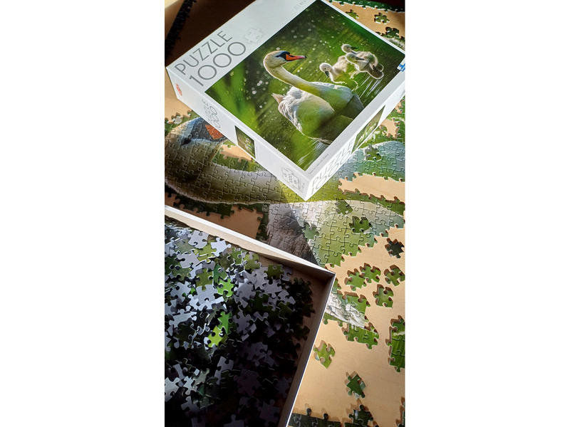 Tactic 1000 pcs puzzle: Swan on Lake with Babies