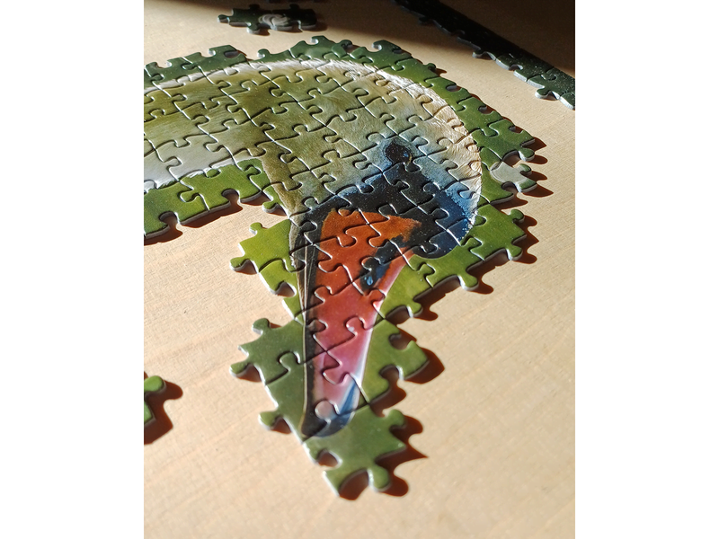 Tactic 1000 pcs puzzle: Swan on Lake with Babies