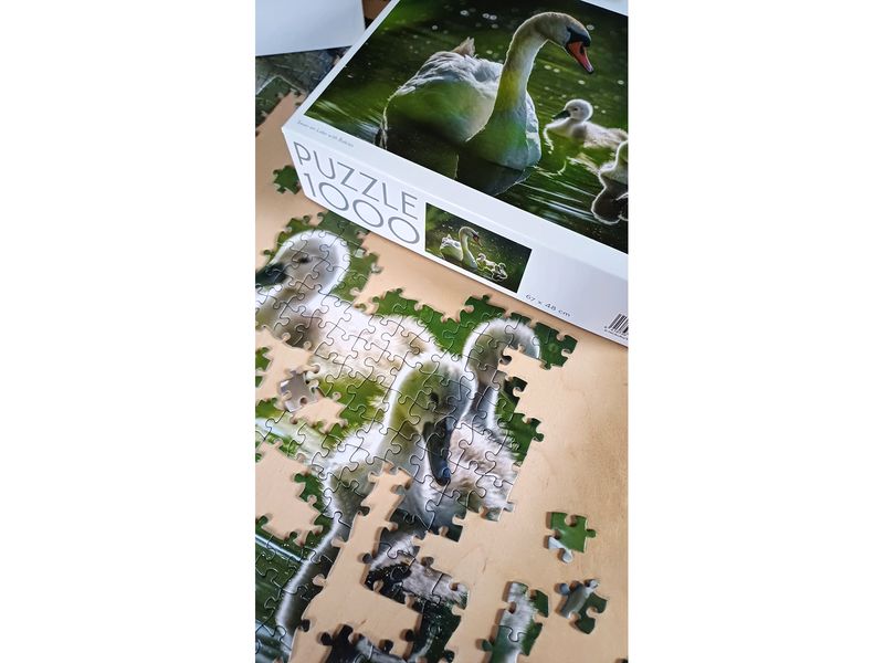 Tactic 1000 pcs puzzle: Swan on Lake with Babies