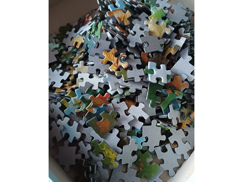 Tactic 500 pcs puzzle: Along the Sylvan Path