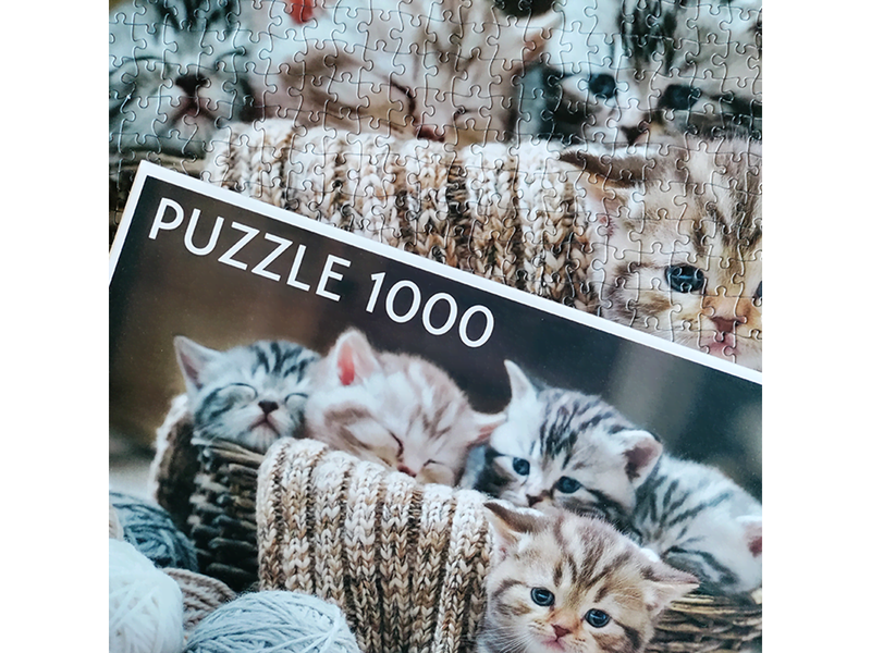 Tactic Cute Kittens 1000 pcs