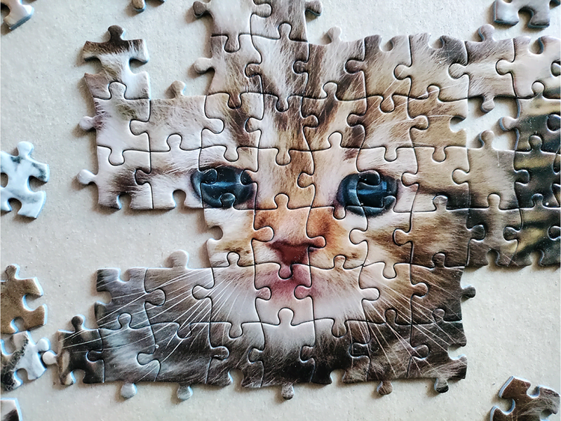 Tactic Cute Kittens 1000 pcs