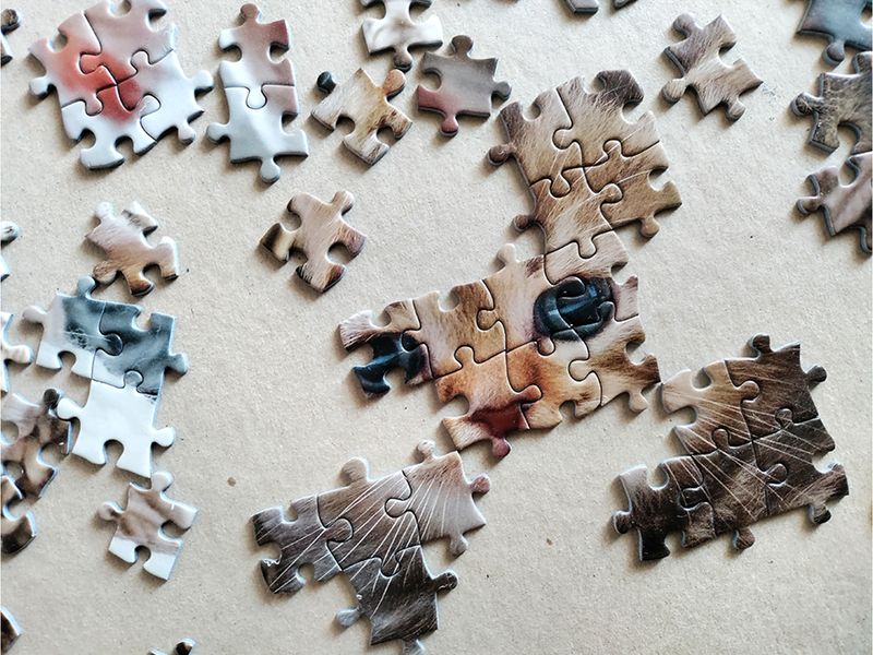 Tactic Cute Kittens 1000 pcs