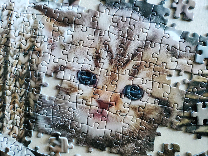Tactic Cute Kittens 1000 pcs