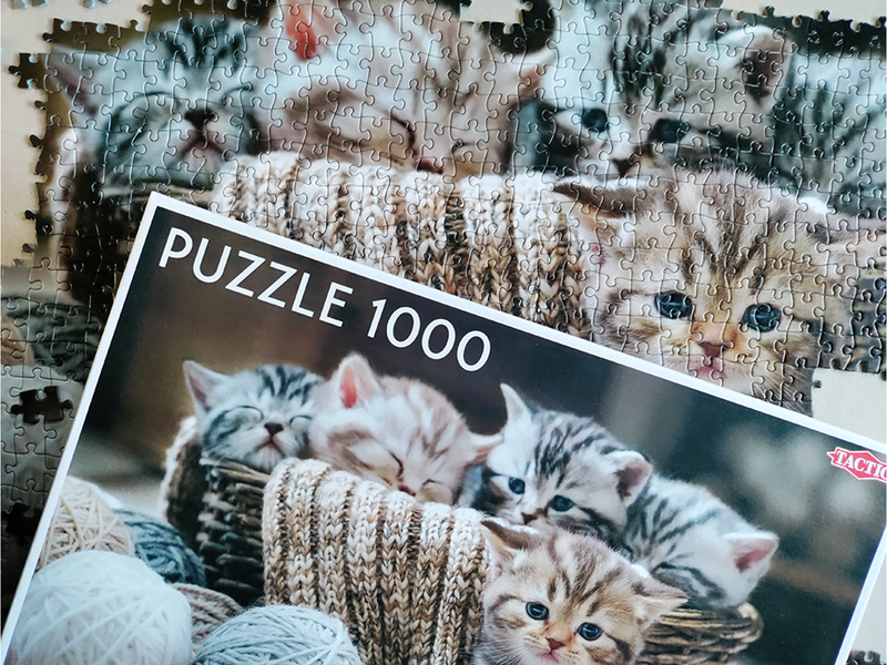 Tactic Cute Kittens 1000 pcs