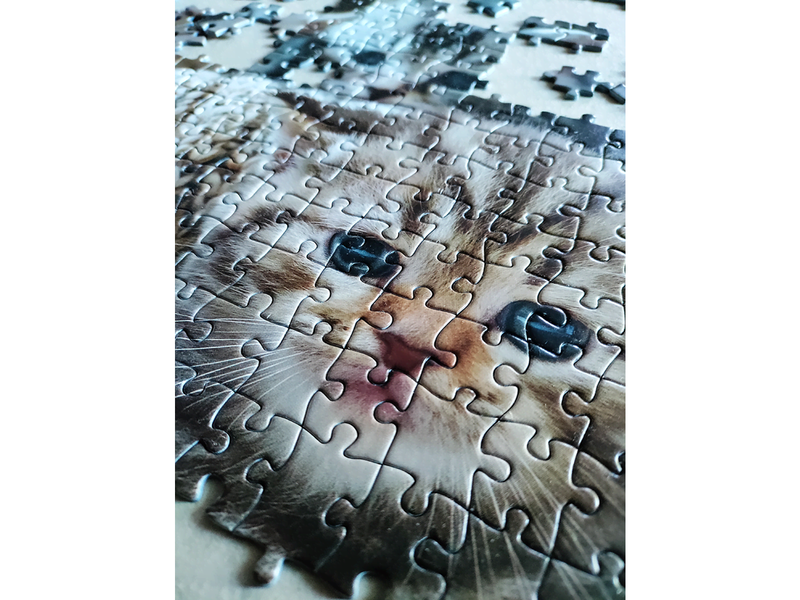 Tactic Cute Kittens 1000 pcs